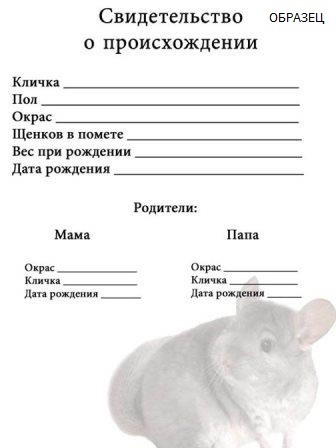 Документы