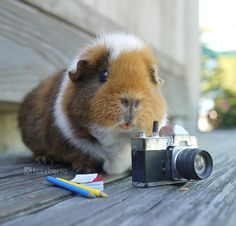 Фотосъемка