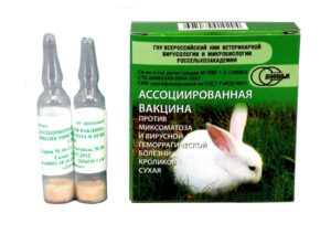 <strong>Вакцинация декоративного кролика</strong>